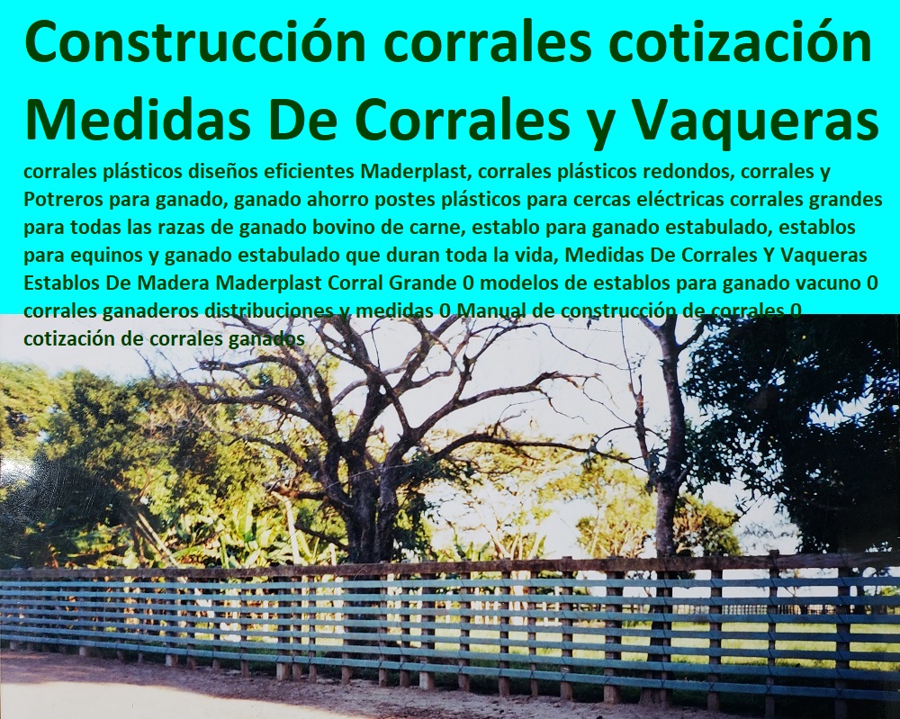 Medidas De Corrales Y Vaqueras Establos De Madera Maderplast Corral Grande 0 modelos de establos para ganado vacuno 0 corrales ganaderos distribuciones y medidas 0 Manual de construcción de corrales 0 cotización de corrales ganados Mangas De Coleo, Corral Caballerizas, Pesebreras De Caballos, Plaza Toros, Brete Ganadero, Apretaderos Embarcaderos, Postes Tablas, Polines Varetas, Mangas De Coleo, Horcones Madera Plástica, Corrales, Establos De Ganado, Medidas De Corrales Y Vaqueras Establos De Madera Maderplast Corral Grande 0 modelos de establos para ganado vacuno 0 corrales ganaderos distribuciones y medidas 0 Manual de construcción de corrales 0 cotización de corrales ganados